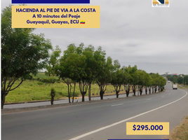 Villa à vendre à Guayaquil, Guayas, Guayaquil, Guayaquil