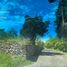  Land for sale in Miacatlan, Morelos, Miacatlan