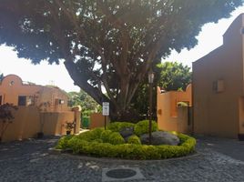 在Morelos出租的3 卧室 公寓, Cuernavaca, Morelos