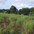 Land for sale in Nasugbu, Calabarzon, Nasugbu