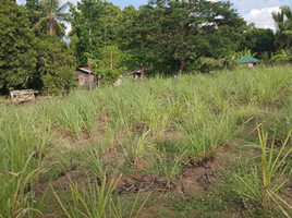  Land for sale in Nasugbu, Calabarzon, Nasugbu