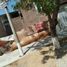  Terreno (Parcela) en venta en Piura, Piura, Piura, Piura, Piura