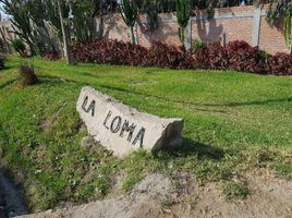  Terreno (Parcela) en venta en Alto Laran, Chincha, Alto Laran