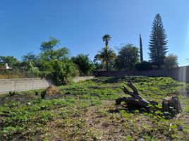  Grundstück zu verkaufen in Temixco, Morelos, Temixco