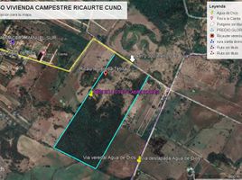  Terreno (Parcela) en venta en Ricaurte, Cundinamarca, Ricaurte