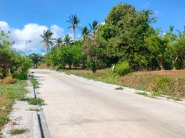  Land for sale in Cavite, Calabarzon, Alfonso, Cavite