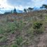  Land for sale in San Miguel De Urcuqui, Imbabura, Tumbabiro, San Miguel De Urcuqui