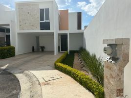 在Yucatan出租的3 卧室 屋, Merida, Yucatan