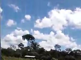  Terreno (Parcela) en alquiler en Madre de Dios, Inambari, Tambopata, Madre de Dios