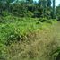  Terreno (Parcela) en alquiler en Madre de Dios, Inambari, Tambopata, Madre de Dios