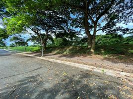  Land for sale at Avida Parkway Settings Nuvali, Calamba City