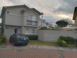 3 Habitación Casa en alquiler en Daule, Guayas, Daule, Daule