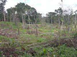  Terreno (Parcela) en venta en El Real de Santa María, Pinogana, El Real de Santa María