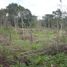 Land for sale in El Real De Santa Maria, Darien, El Real De Santa Maria, Pinogana