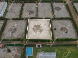  Terreno (Parcela) en venta en Asia, Lima, Asia