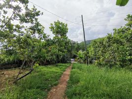  Terrain for sale in Coron, Palawan, Coron