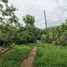  Land for sale in Coron, Mimaropa, Coron