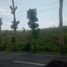  Land for sale in Cebu Central Visayas, Ronda