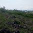  Land for sale in Cebu Central Visayas, Ronda