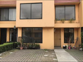 Villa 3 chambre à vendre à Coyoacan, Mexico City, Coyoacan