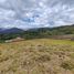  Land for sale in Malacatos Valladolid, Loja, Malacatos Valladolid, Loja, Loja