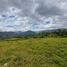  Land for sale in Malacatos Valladolid, Loja, Malacatos Valladolid, Loja, Loja