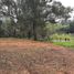 Terrain à vendre à El Carmen De Viboral, Antioquia, El Carmen De Viboral