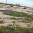  Land for sale in Montecristi, Manabi, Montecristi, Montecristi