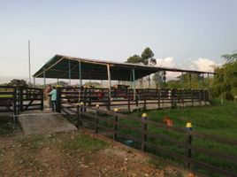  Villa zu verkaufen in Salento, Quindio, Salento