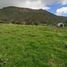  Terrain for sale in Sesquile, Cundinamarca, Sesquile