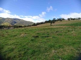  Terreno (Parcela) en venta en Sesquile, Cundinamarca, Sesquile