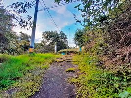  Land for sale in Envigado, Antioquia, Envigado