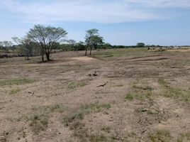  Land for sale in Dist Pochutla, Oaxaca, Dist Pochutla