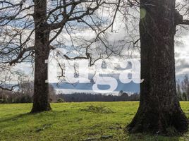  Terreno (Parcela) en venta en Araucanía, Pucón, Cautín, Araucanía