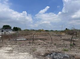  Land for sale in Manta, Manabi, Manta, Manta