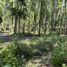  Terreno (Parcela) en venta en Chile, Villarrica, Cautín, Araucanía, Chile
