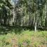  Terreno (Parcela) en venta en Chile, Villarrica, Cautín, Araucanía, Chile