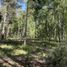  Terreno (Parcela) en venta en Chile, Villarrica, Cautín, Araucanía, Chile