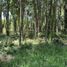  Terreno (Parcela) en venta en Chile, Villarrica, Cautín, Araucanía, Chile