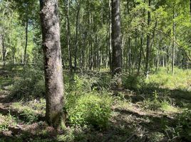  Terreno (Parcela) en venta en Chile, Villarrica, Cautín, Araucanía, Chile