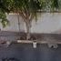 Villa 3 chambre à vendre à Atizapan De Zaragoza, Mexico, Atizapan De Zaragoza