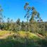  Terreno (Parcela) en venta en Navidad, Cardenal Caro, Navidad