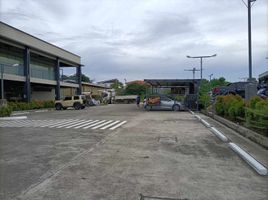  Grundstück zu vermieten in Lapu-Lapu City, Central Visayas, Lapu-Lapu City, Cebu, Central Visayas