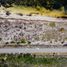  Land for sale in Yobain, Yucatan, Yobain