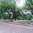  Land for sale at Ayala Alabang VIllage, Muntinlupa City