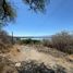  Terreno (Parcela) en venta en Puente De Ixtla, Morelos, Puente De Ixtla