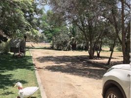  Terreno (Parcela) en venta en Maipo, Santiago, Paine, Maipo