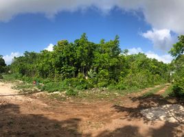 Terrain à vendre à Cancun, Quintana Roo, Cancun