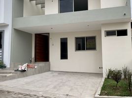 Maison 4 chambre à vendre à Zapopan, Jalisco, Zapopan
