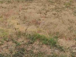  Land for sale in Samborondon, Guayas, Samborondon, Samborondon